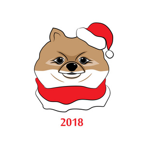 狗是2018年年的象征。彩色手绘素描的头博美斯皮茨在圣诞老人的帽子和围巾。矢量插图