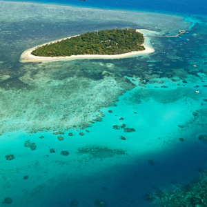 从澳大利亚高的珊瑚礁和岛屿自然公园, 天堂的概念