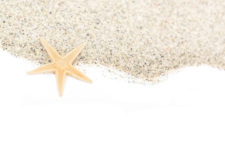 沙滩上的沙子海星