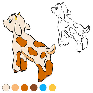 彩页。我的颜色 山羊。小可爱的小宝贝山羊