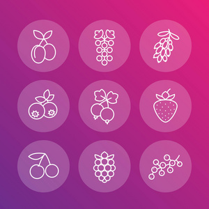 浆果线形图标, 覆盆子, 蓝莓, 樱桃, 葡萄, 草莓, 檗, 李子