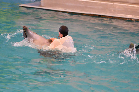 与海豚训练师图片