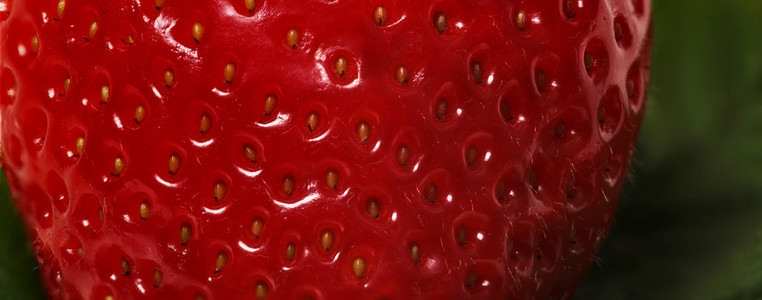 草莓背景特写