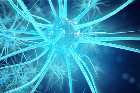 生物医学工程：探索脑海中的神经网络和生物技术