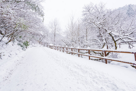 冬季在山上的雪在汉城的景观, 所以