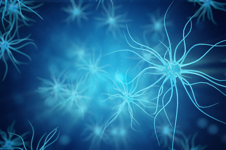 生物网络的神经递质传输与电脉冲的数据传输