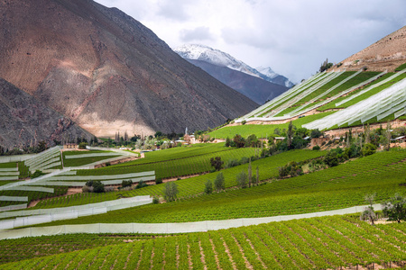 Elqui 谷，安第斯山脉的阿塔卡马沙漠的一部分