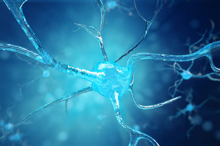 生物科学者探索生物技术与神经病学的神经网络