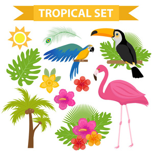 热带夏天：矢量图标与可爱卡通动物的冰凉度假乐园