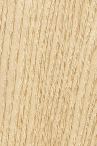 枫树的木材单板 Grunge 纹理样本