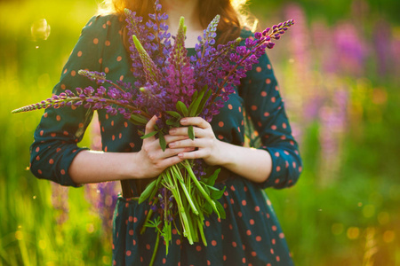一束 lupines 在一个年轻的成年女孩的手, 在一个绿色的礼服, 在一个开花的草地背景。一张没有脸的照片。春天的夏天。美丽的