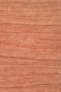 grunge 纹理样本圆形的发光颜色的水彩集古色古香的动物皮肤羊皮纸