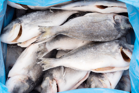 冷冻的鱼片图片