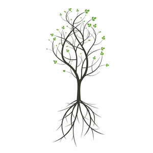树和根。矢量图