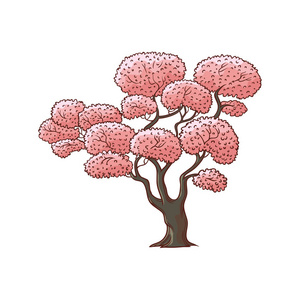 一朵朵粉红樱桃，樱花树