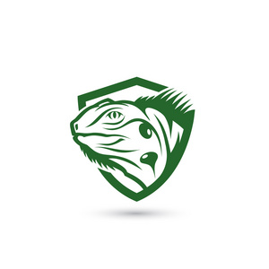 卡通系列卡通动物︰ 多彩多姿的鬣蜥和 bug白色背景上的水彩鬣蜥爬行