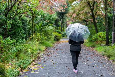 日本秋季在花园和雨中散步和散布雨伞的妇女照片