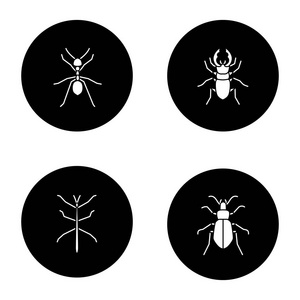 昆虫字形图标设置。蚂蚁, 雄甲虫, 地面臭虫, phasmid。黑色圆圈中的矢量白色剪影插图