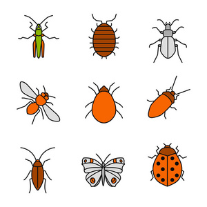 昆虫颜色图标设置。, 潮, 地甲虫, 蜜蜂, 螨虫, 蟑螂, 蝴蝶, 瓢虫。孤立向量插图