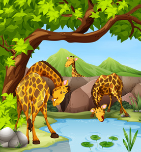 剪贴画乌鸦喝水图片