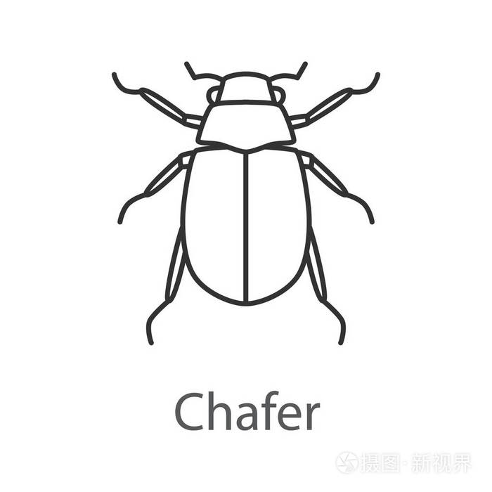 插画 欧洲金龟线性图标.金龟.细折线图.六月虫轮廓符号.