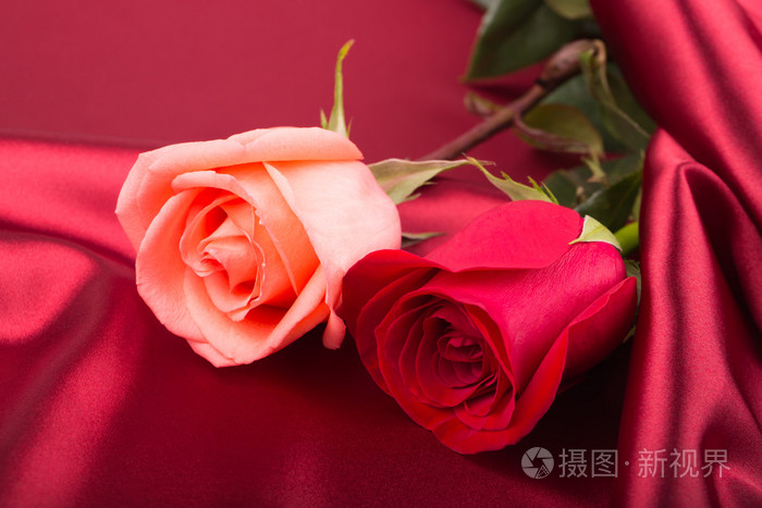 深粉色和红色的丝绸上的玫瑰