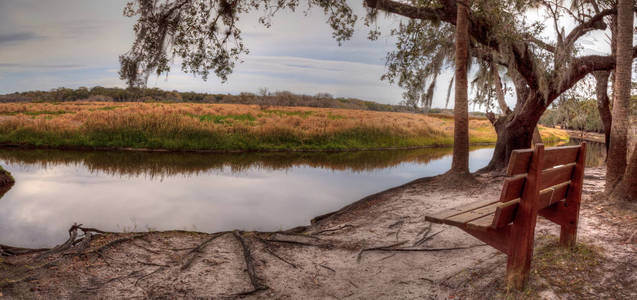 迈阿卡河州立公园湿地与沼泽图片