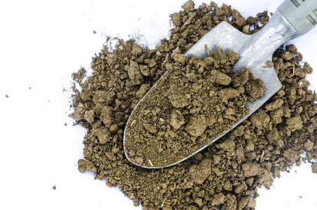 牛粪便封闭的干牛粪便在白色背景下, 复制空间照片