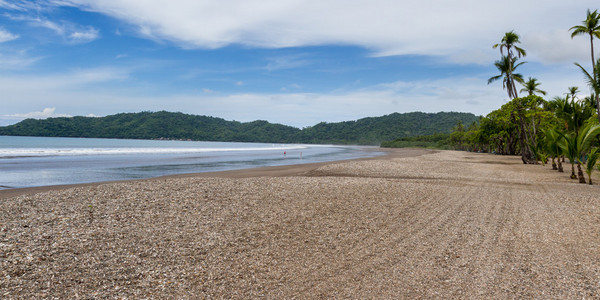 热带海滩场景