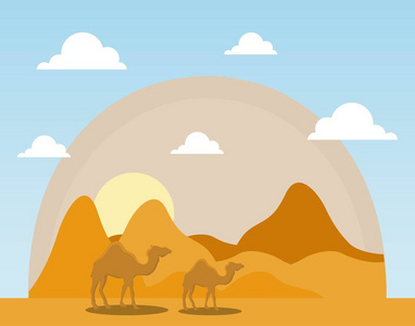 骆驼干沙漠景观