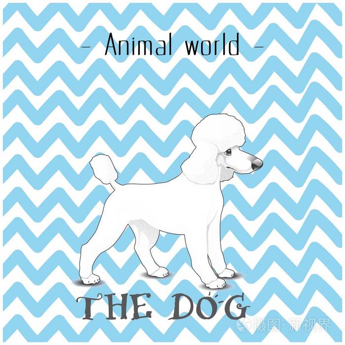 动物世界狗毛犬背景矢量图像插画 正版商用图片0fdrmd 摄图新视界 动物世界狗毛犬背景矢量图像插画 正版商用图片0fdrmd 摄图新视界
