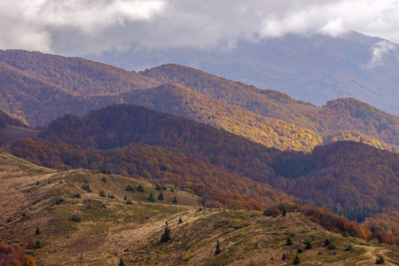 Bieszczady 山脉波兰喀尔巴阡山