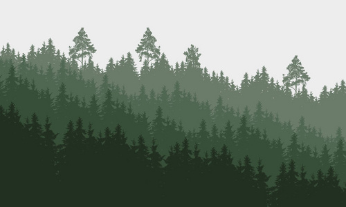 阴灰色下的森林全景矢量图解