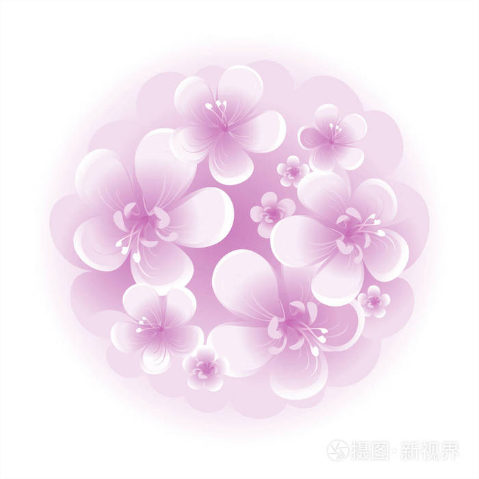 白色背景的紫色花朵的花束 苹果树花 樱 矢量eps 10 Cmyk插画 正版商用图片0fe3ce 摄图新视界
