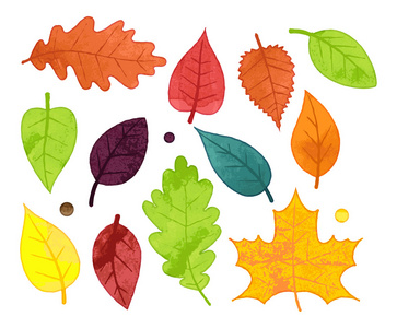水彩风格秋天的树叶矢量合集