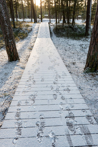 在冬季道路的步行轨道的旅游木板路