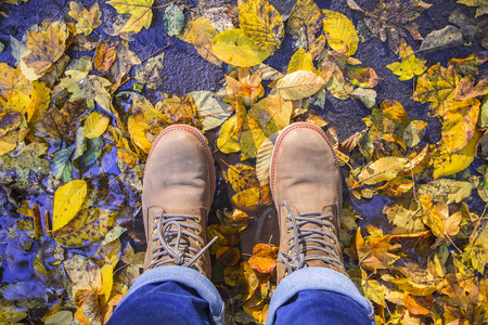 棕色靴子与多彩落叶从树。秋天树叶水坑顶视图