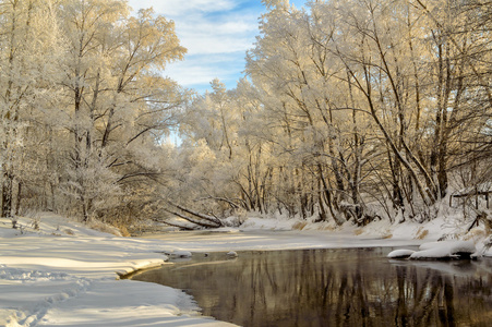 冬天的白雪覆盖的田野 树木和河流在薄雾清晨的景观