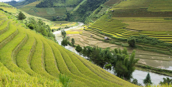亚洲农业图片-亚洲农业素材-亚洲农业插画-摄图新视界
