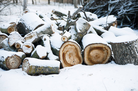 一堆木制木头雪下照片