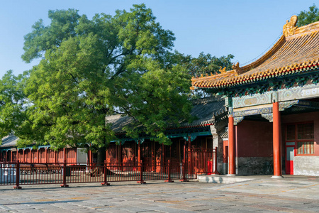 紫禁城在北京蓝蓝的天空下
