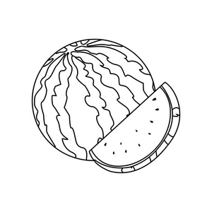 水果线描图片