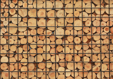 木材原木举办烧烤面板中
