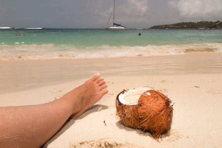 在热带的海滩上椰子