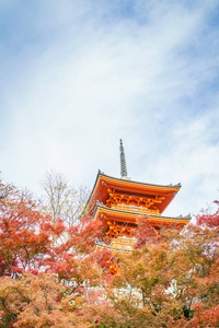 美丽的建筑，在清水寺京都，日本