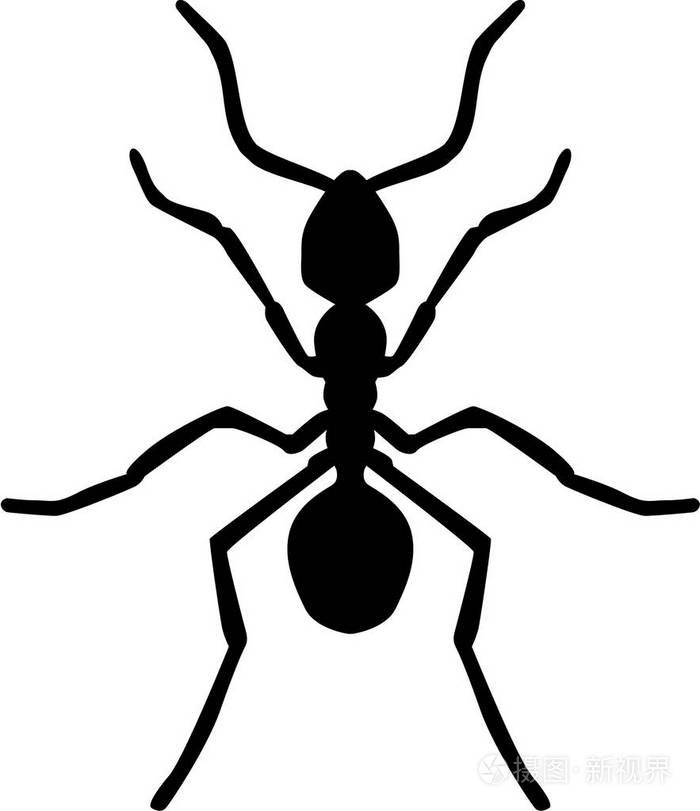 蚂蚁剪影矢量