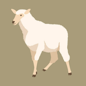 插画羊图片