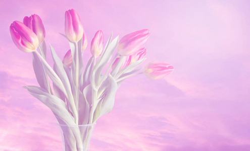 花瓶的郁金香与梦幻般的色彩和柔和的粉红色云背景