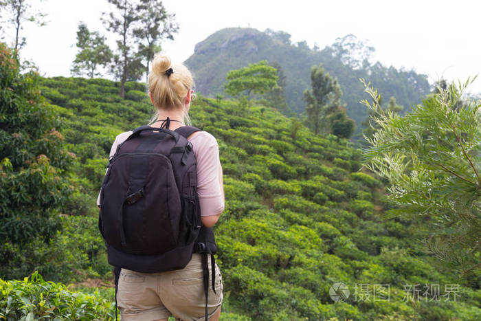 女游客享受美丽的大自然的茶叶种植园,斯里兰卡照片-正版商用图片0ffg