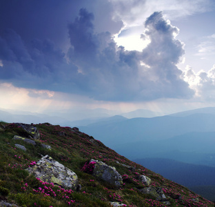 晚上山高原风景